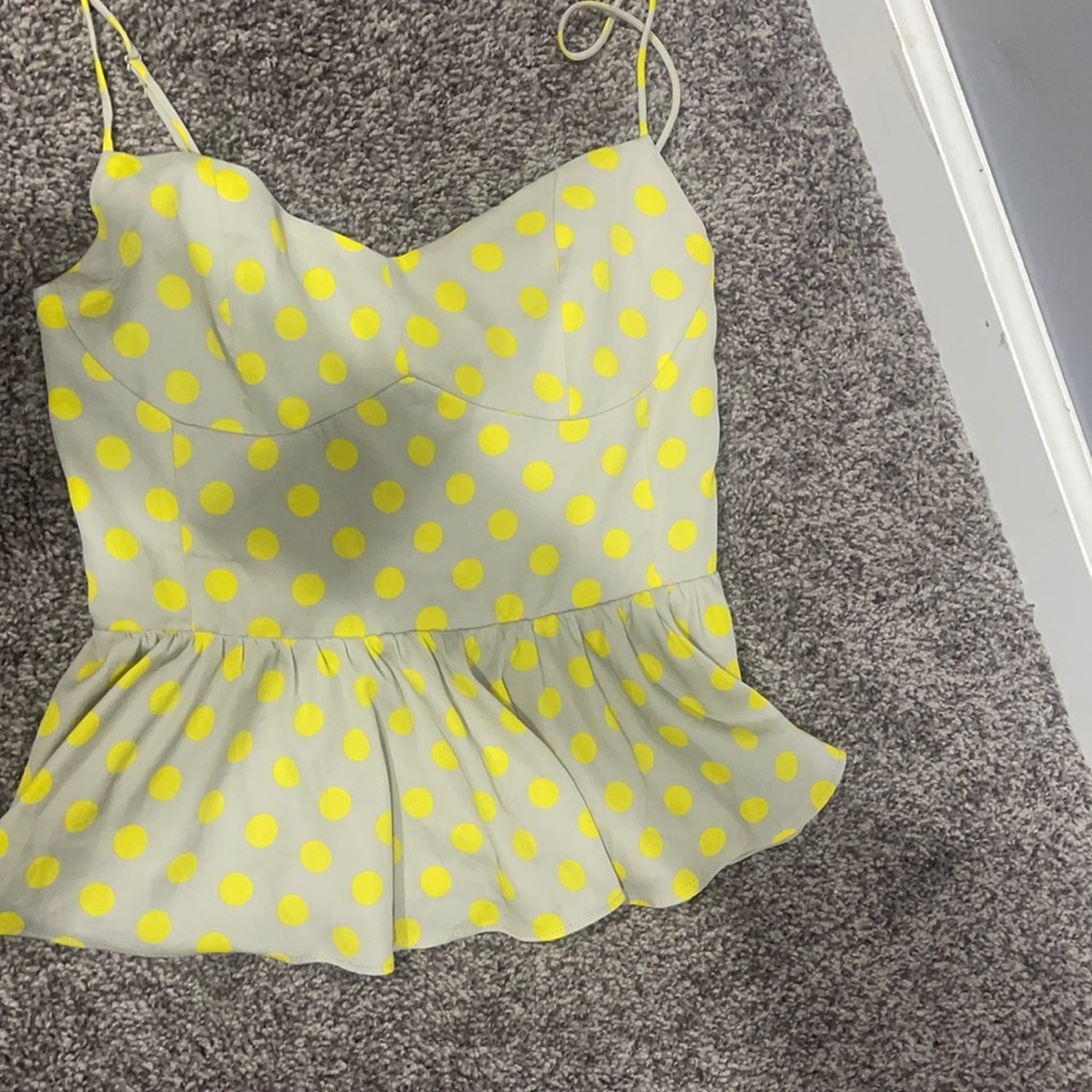 Zara Polk a dot top